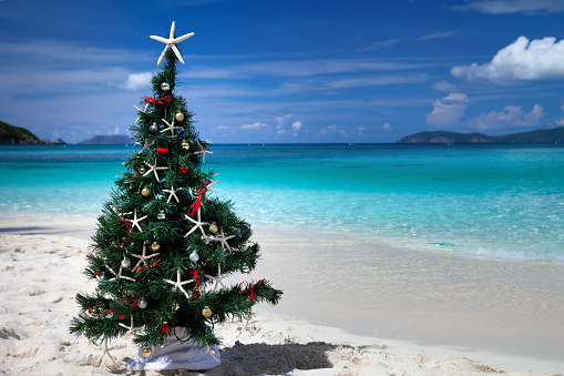 Christmas tree on a tropical beach in the Caribbean, Hawksnest bay, St. John