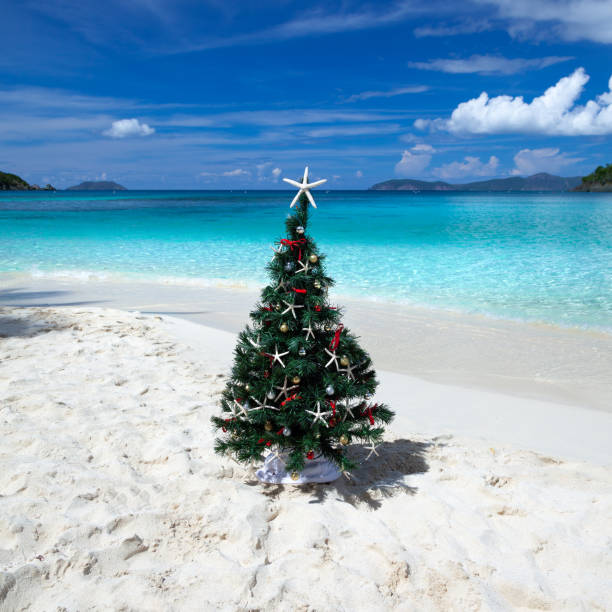 istock Christmas tree on a tropical beach in the Caribbean 1277765632