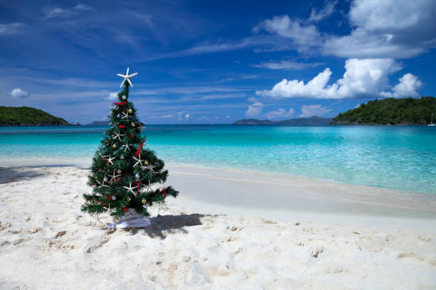 istock Christmas tree on a tropical beach in the Caribbean 1277765633