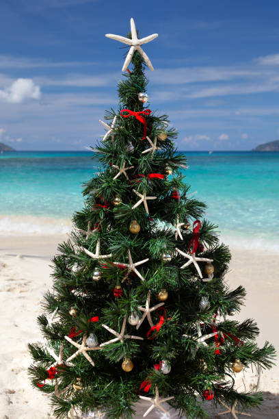 istock Christmas tree on a tropical beach in the Caribbean 1277765634