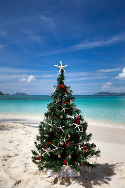 istock Christmas tree on a tropical beach in the Caribbean 1277765635