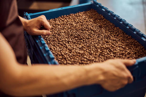 istock Male worker holding blue plastic crate with coffee beans 1277765738