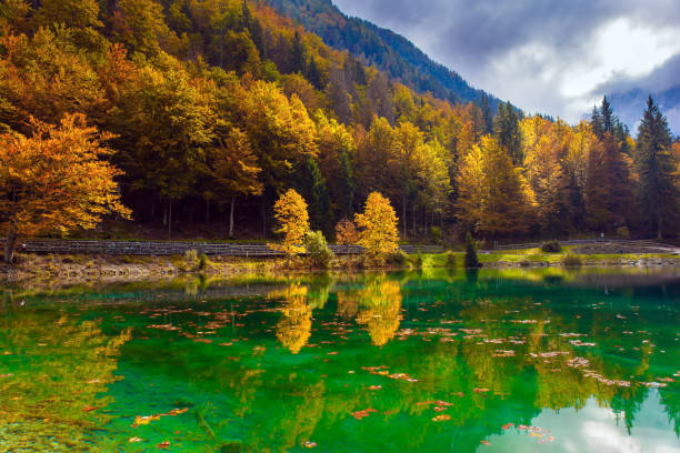 istock Orange, yellow and red trees 1277767502