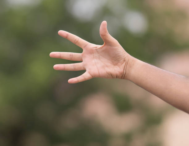 istock male hand gesture and signs 1277768831