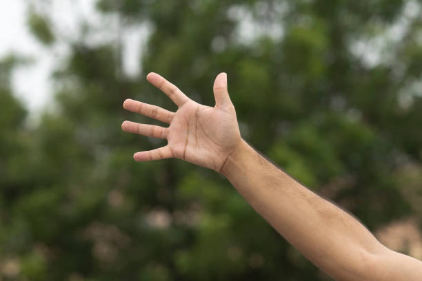 istock male hand gesture and signs 1277768926