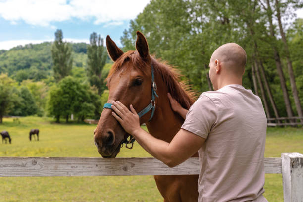 istock Young man bonding with a horse at the ranch 1277768945