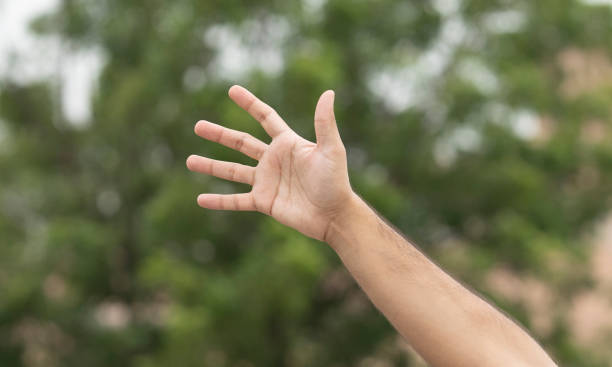 istock male hand gesture and signs 1277768948
