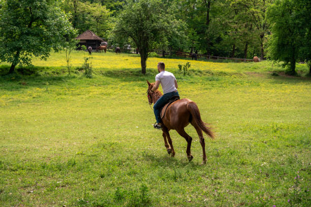 istock Young man galloping on a horse at a ranch 1277771575