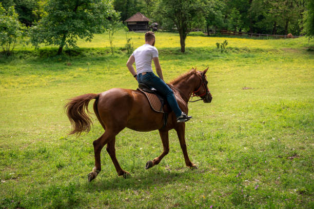 istock Young adult galloping on a horse at a ranch 1277771776