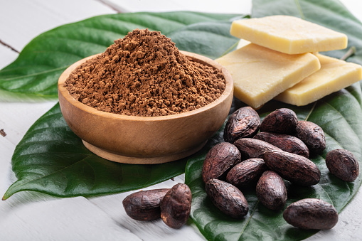 Cacao powder in wooden bowl, whole cacao beans, pieces of cocoa butter with original fresh leaves on white rustic table close-up.