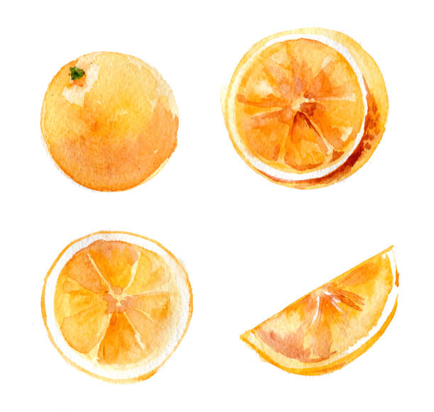 istock Set of whole and cut oranges on a white background. Illustration, hand-drawn watercolor. Isolated. 1277773845