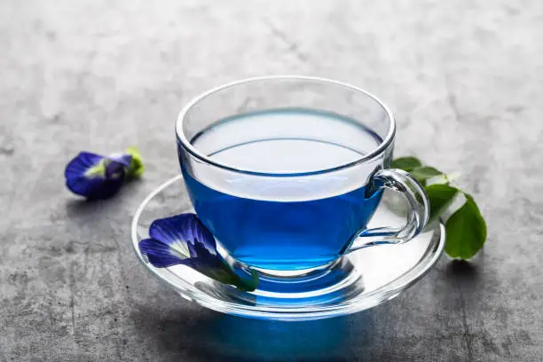 Photo of Butterfly pea blue pea flower herbal tea in a glass cup on grey concrete background.