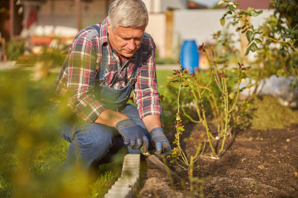istock Aged man doing gardening on a sunny day 1277777330