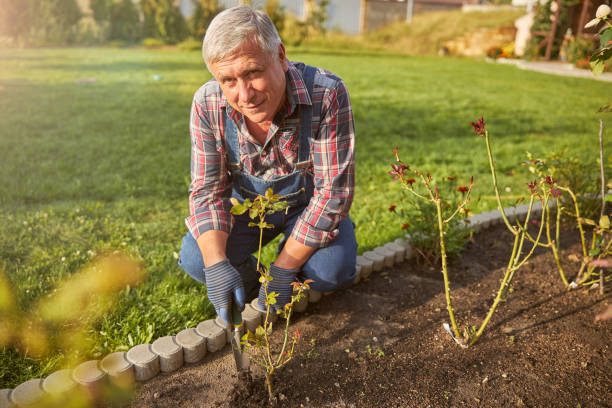istock Gladsome aging man digging in his garden 1277777333