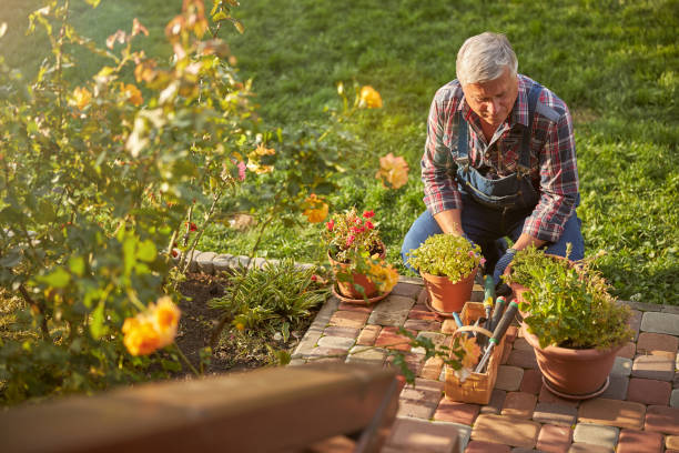 istock Caring florist kneeling beside his potted plants 1277777354
