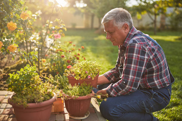 istock Senior citizen kneeling and holding a blooming potted flower 1277777362