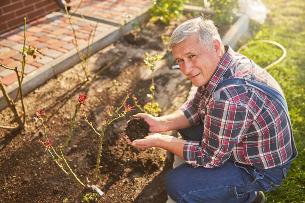istock Smiley gardener holding two handfuls of soil 1277777374