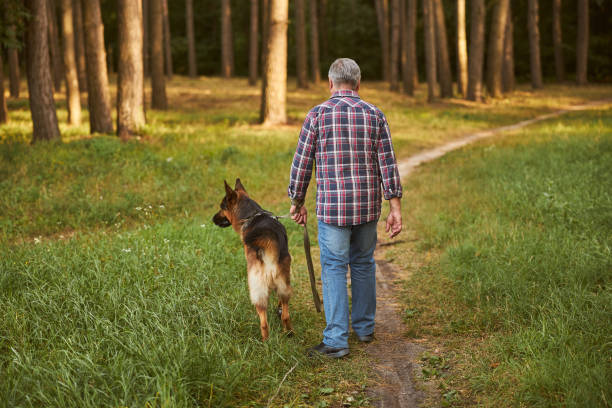 istock Senior citizen having a walk with his dog 1277777383