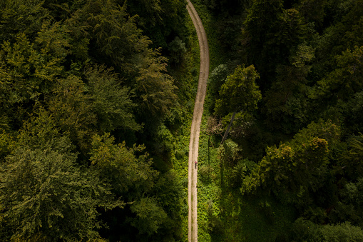 Drone photograph with cyclist riding through a hard wood forest on dirt road. Bird eye perspective.