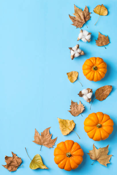 istock Autumn fall thanksgiving day composition with decorative orange pumpkins 1277780945