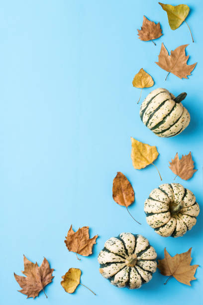 istock Autumn fall thanksgiving day composition with decorative orange pumpkins 1277780979