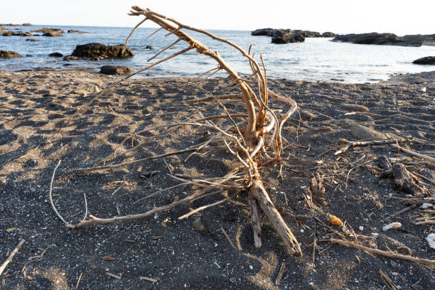 A natural structure composed by the sea