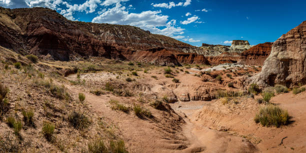 istock The Toadstool Trail at Grand Staircase-Escalante 1277782902