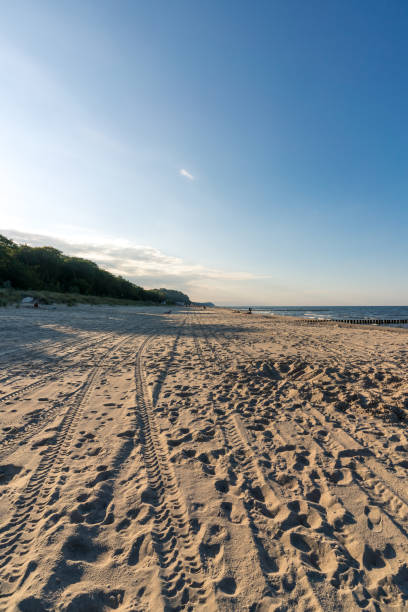 istock Beach at the Baltic Sea 1277783094