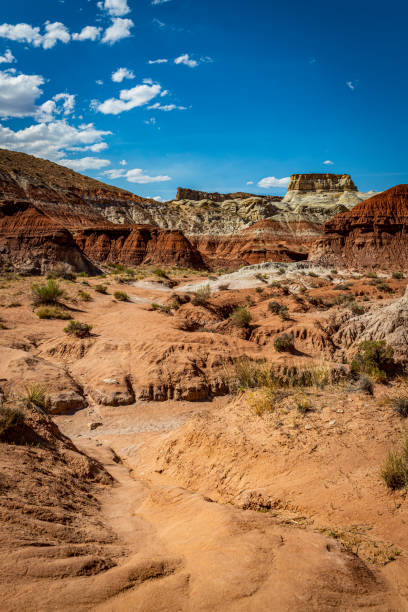 istock The Toadstool Trail at Grand Staircase-Escalante 1277783926