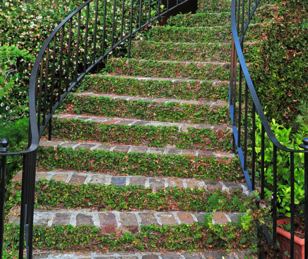 istock Ivy Covered brick stairs-Charleston,  SC 1277785327