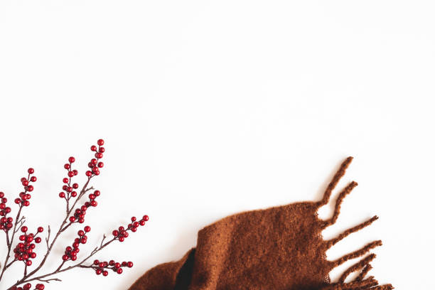 istock Autumn composition. Berries, plaid on white background. Autumn, fall concept. Flat lay, top view 1277785546