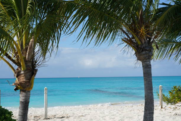 istock Beautiful Caribbean ocean and beach 1277785718