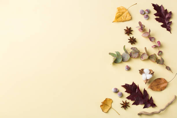 istock Autumn fall thanksgiving day floral composition with dried leaves 1277786967