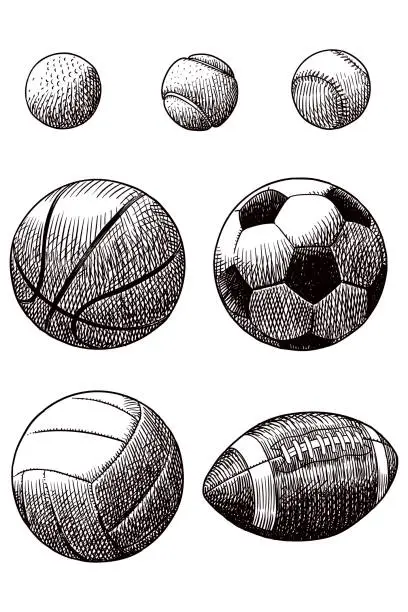 Vector illustration of Drawing of various sport balls