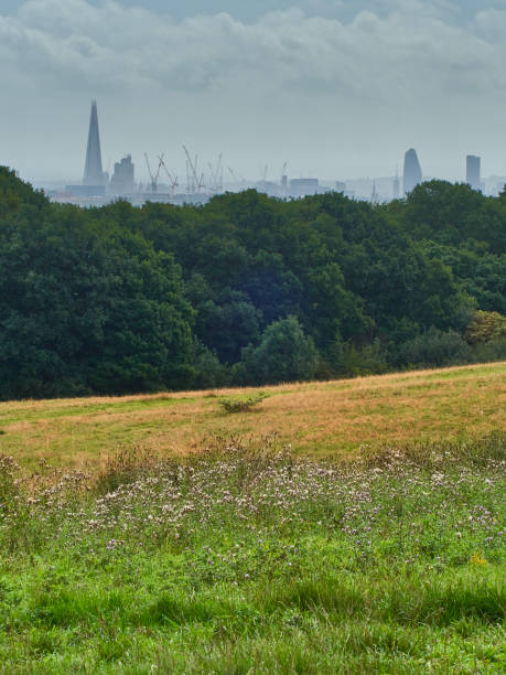 istock Hampstead Vistas 31 1277788530
