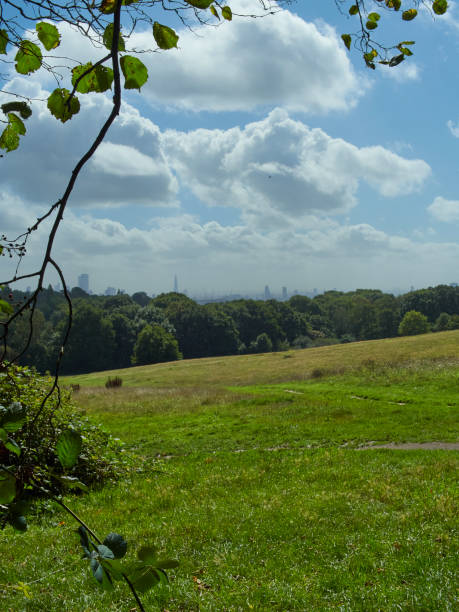 istock Hampstead Vistas 32 1277789215