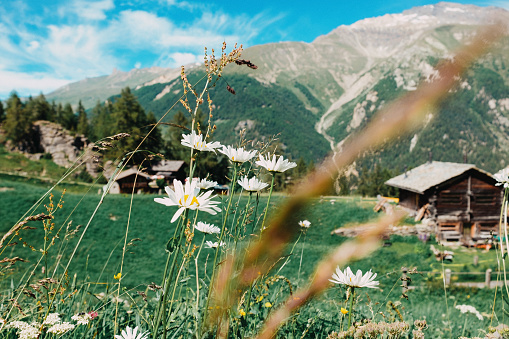 Chalets in Val d'Hérens valley, Switzerland