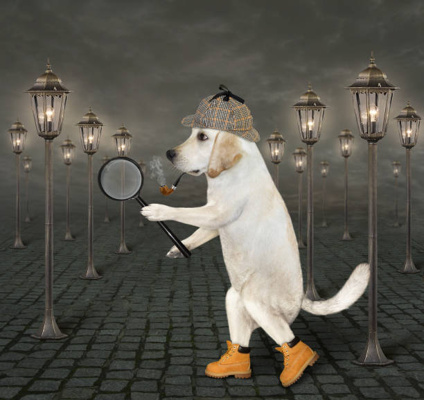 istock Dog detective holds magnifying glass 2 1277792256
