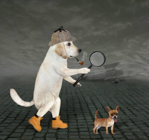 istock Dog detective holds magnifying glass 3 1277792257