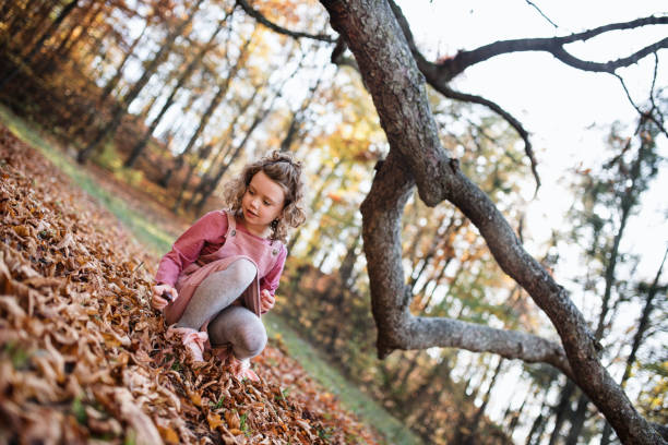 istock Small girl in autumn forest, collecting conkers. 1277793034