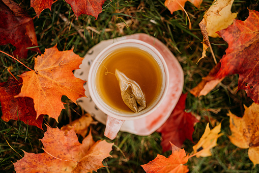 Tea cup in autumn\nSimple photo of cup of tea outdoors in autumn nature