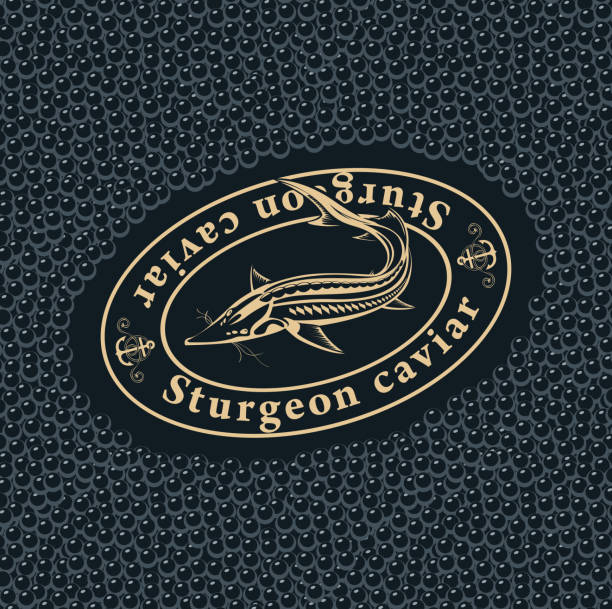 etykieta dla czarnego kawioru z rybami jesiotra - meal whale mammal animal stock illustrations