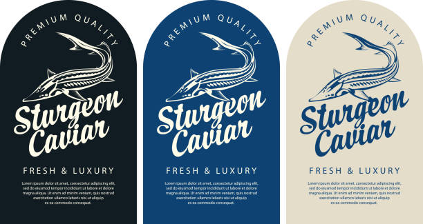 Labels for black caviar with sturgeon fish Set of labels for black sturgeon caviar with a sturgeon fish, calligraphic inscription and place for text. Monochrome vector labels, banners or stickers in retro style sturgeon fish stock illustrations