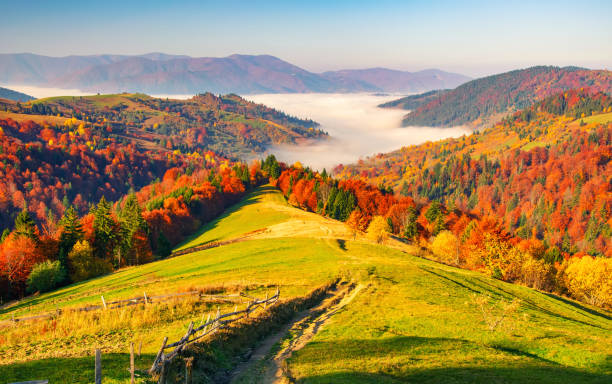 istock Colorful autumn scenery in the Carpathian mountains 1277794695