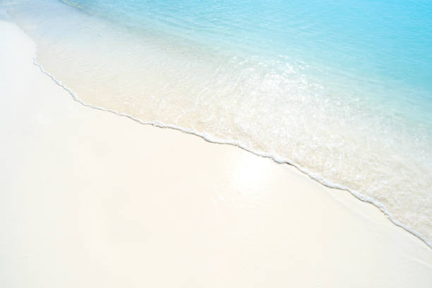 istock Beach sand and sea wave copy space scene 1277794767