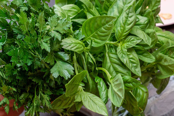 Greens, basil, parsley, onion close-up on the table