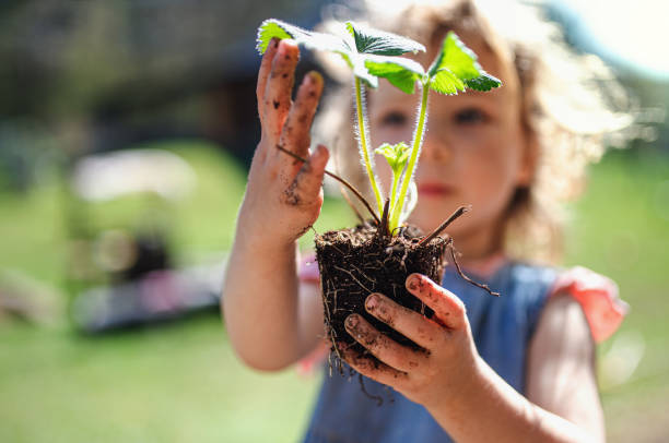 bambina con le mani sporche all'aperto in giardino, concetto di stile di vita sostenibile. - vegetable child growth people foto e immagini stock