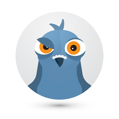 angry pigeon simple round gray bird icon modern style