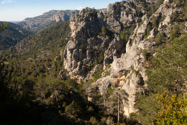 istock Los Ports natural Park 1277797641