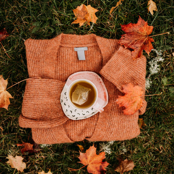 istock Tea and knitted sweater outdoors in autumn from above overhead 1277798153